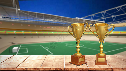 仅为浙江队 仅为浙江队